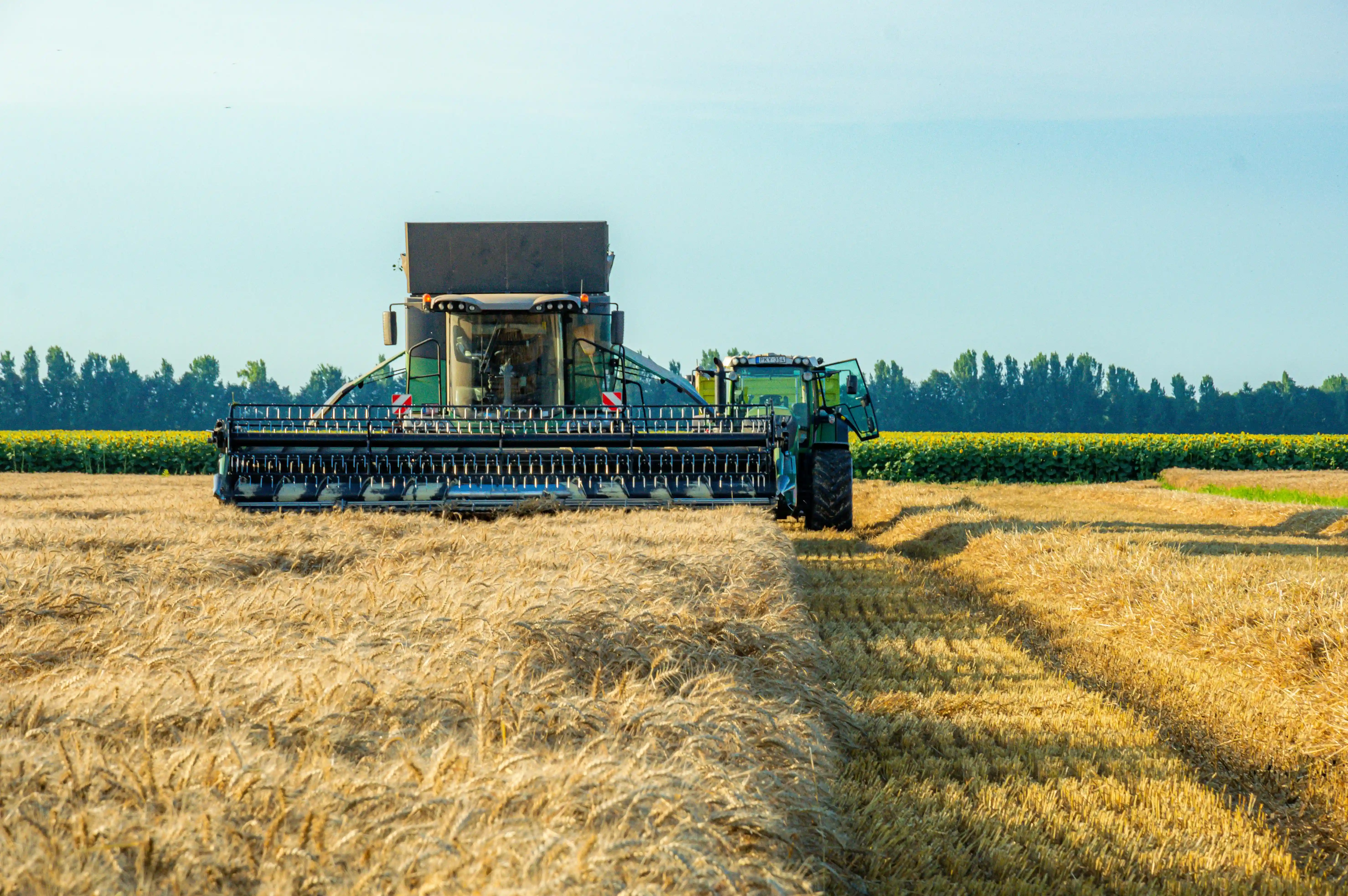 Agricultural commodities — combine harvester working a wheat field